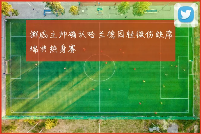 挪威主帅确认哈兰德因轻微伤缺席瑞典热身赛